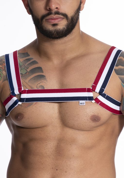 HARNESS EM ELASTICO TRICOLOR C TRIANGULOS